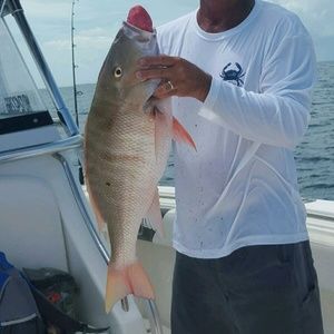 Meet your Posher, Greg